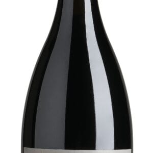 Lambrusco Borgoletto DOC